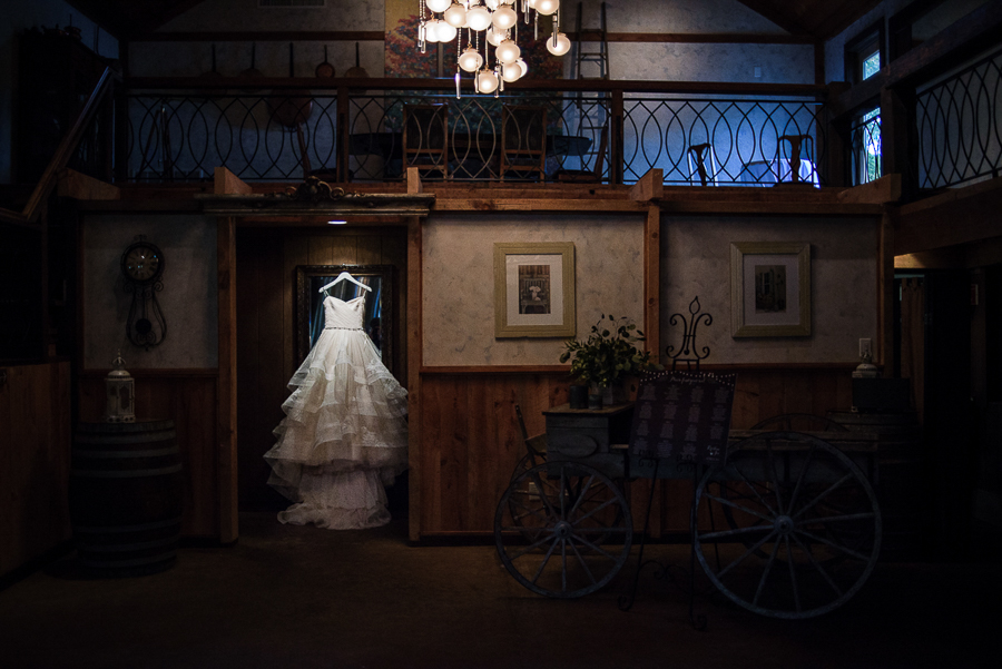 Red Maple Vineyard Wedding Photographer Dress Details